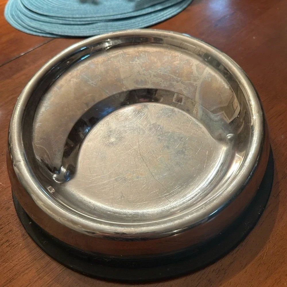 Stainless Steel Angled Pet Bowl with Non-Slip Base